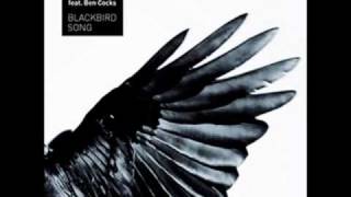 dubtribe - blackbird song