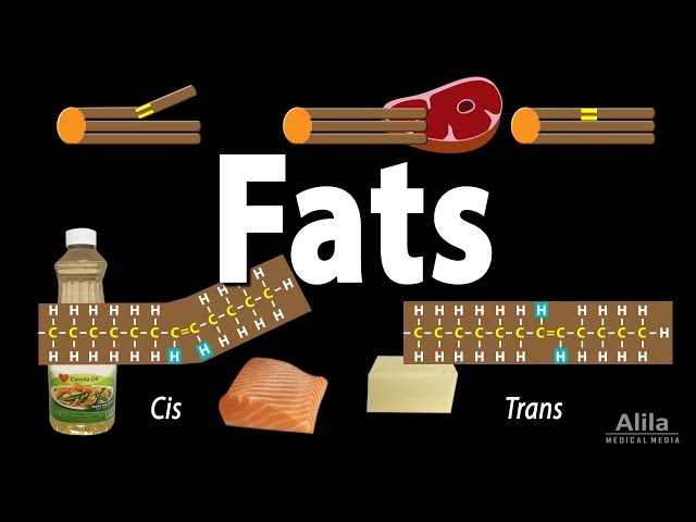 Which Foods Contain Unsaturated Healthy Fats? - chipotless.com