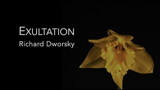 Richard Dworsky - Exultation (Official Music Video)