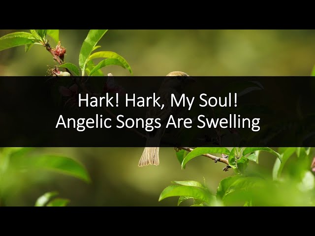 Hark Hark My Soul: The Sheet Music You Need