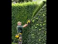 Satisfying Videos of Workers Doing Their Job Perfectly 11