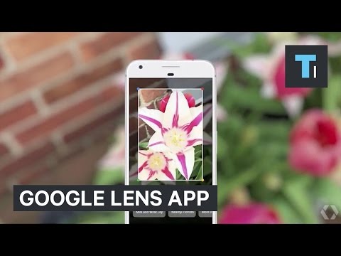 Google just showed off an incredible camera app that identifies real-world objects - UCVLZmDKeT-mV4H3ToYXIFYg