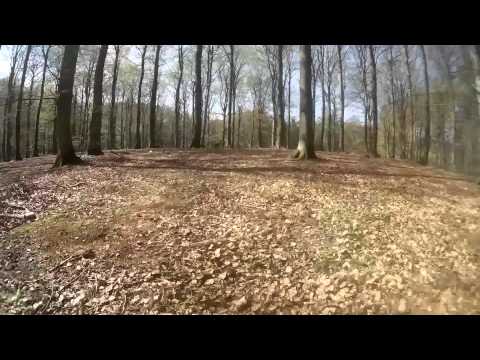 FPV race in the forrest with QAV250 - UCnMVXP7Tlbs5i97QvBQcVvw