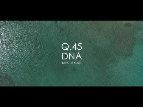 +Q.45 DNA dei due mari