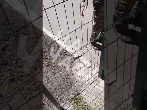 Похоронна процесія приїхала до ТЦК у Кривому Розі.