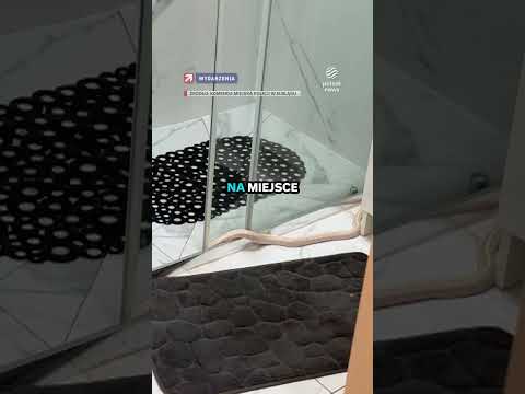 Wąż wyszedł z odpływu? Szok w łazience w Elblągu