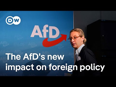 How Germany's AfD party fits into the bigger picture of far-right populism in Europe | DW News