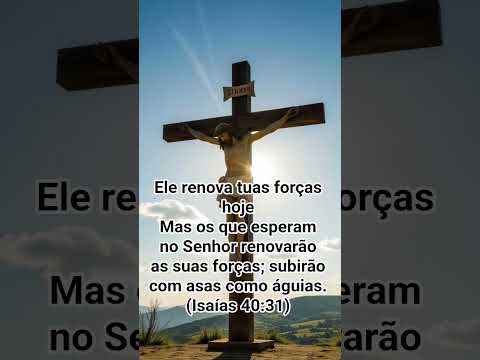 Ele renova tuas forças hoje. #bomdia #caminhosdosenhor #fe #jesus #mensagem #caminhodaverdade