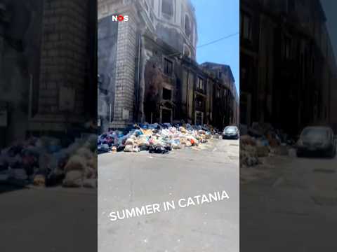 Man leert hond om afval te dumpen