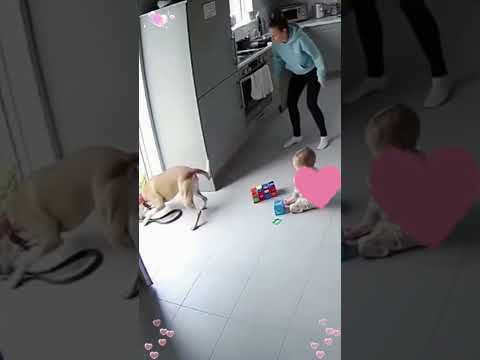 Phillies land All-Star closer Jhoan Duran ahead of MLB trade deadline 👀🔥 #JhoanDuran