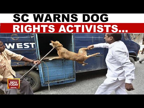 Crackdown on Dog Rights Activists: Armed With SC Order, Cops Break Up Protest | India Today