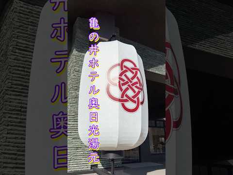 【亀の井ホテル奥日光湯元】コスパ最強！にごり湯に栃木県食材ビュッフェが満喫できるホテル♪  #shorts #熱亀の井ホテル奥日光湯元 #日光