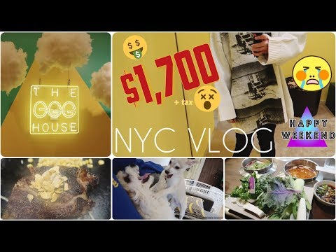 Will(윌) - DO NOT WATCH ON AN EMPTY STOMACH (NY) Egg House, noguchi museum, food, doggos VLOG 3