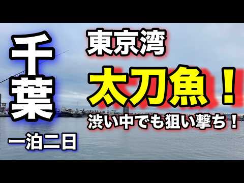 「初心者でも試せる太刀魚釣り！簡単仕掛けで一発勝負」太刀魚釣りの旅！2024.11