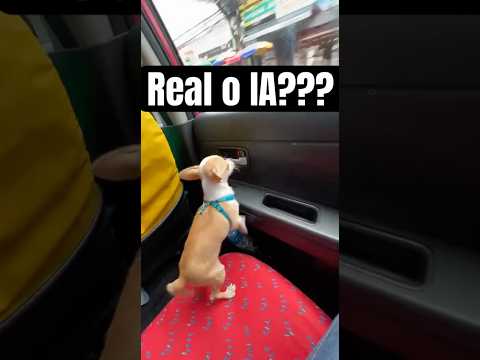 😱😱😱 #fypシ #humor #memes