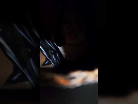 Halloween Haunted House Creepy Nun