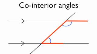 Angles In Parallel Lines Co Interior You