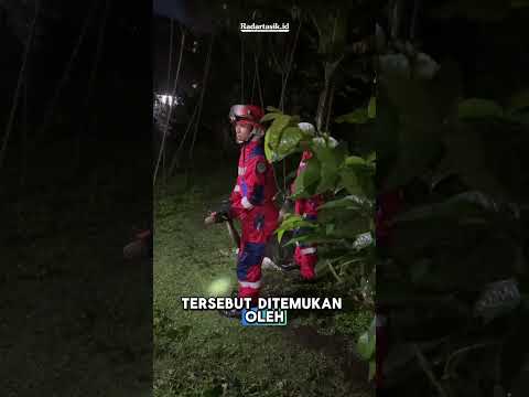 Satu Diamankan, Satu Kabur! Sepasang King Kobra Masuk Perkebunan Warga di Tasikmalaya