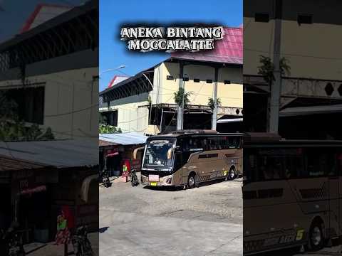 resiko single glass kalo siang hari 🤔😎 #bus #shorts #singleglass #anekabintang #basuri