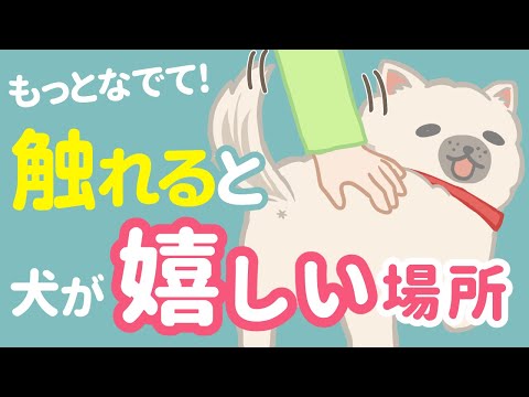 ココなでて♥犬がなでられると喜ぶ場所と嫌がる場所