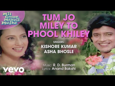 Tum Jo Miley To Phool Khiley - Mil Gayee Manzil Mujhe | Official Song Audio - UC3MLnJtqc_phABBriLRhtgQ