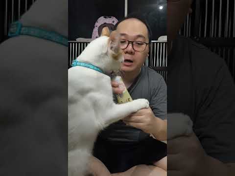 Review vitamin kucing Nutrition Plus Gel Pawsitive Vibes