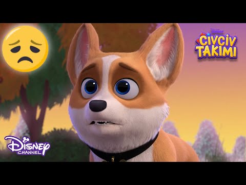 Yavru Köpeği Kurtarmak🐶 | Civciv Takımı | Disney Channel Türkiye