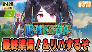 【#鳴潮】  今日の夜が本番！ゼツ猫杯の最終調整＆リハをしよう！準備万端で夜に備えよう！ #373 #プロジェクトWAVE / 2K1440
