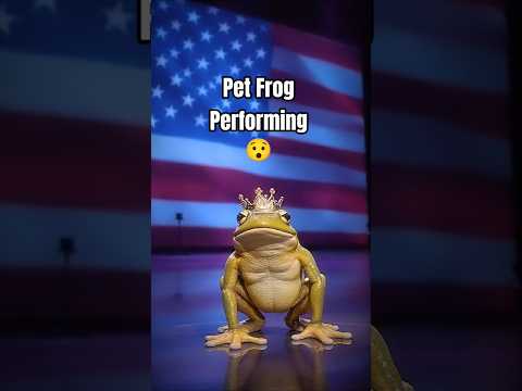 Frog Talent is Getting Out of Hand