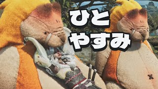 【モンハンワイルズ】胃が唐突に終わったのでチルく休憩「Monster Hunter Wilds」