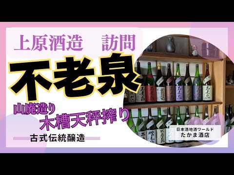 不老泉 上原酒造 訪問、古式にのっとった山廃造り 伝承蔵