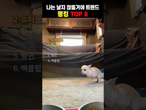 나는 날지 않을거야 <strong>트렌드</strong>