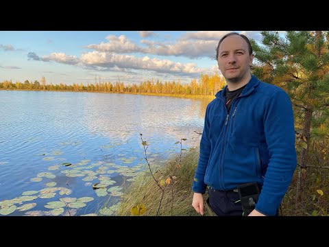 В КРАЮ РАЗОБРАННОЙ УЖД. Озеро Пустое и Песочное. Осенний поход в глухие леса #1