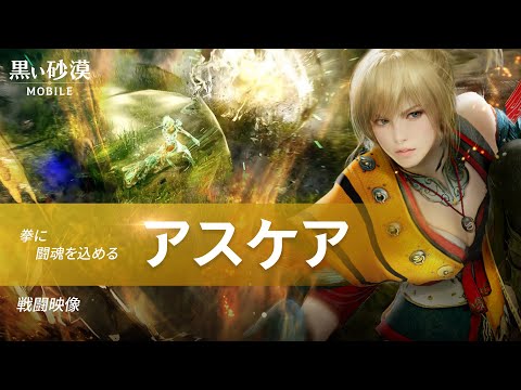 新クラス「アスケア」戦闘映像【黒い砂漠モバイル】