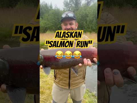 He dropped him ! No way!!!