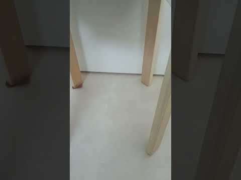 スゴいトイレットペーパー #新札 #トイレットペーパー #渋沢栄一