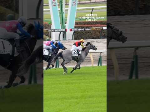 ルメール騎手 61勝目 シニャンガ ロードカナロア産駒 2回東京初日 4R 3歳未勝利(牝) 芝1600m