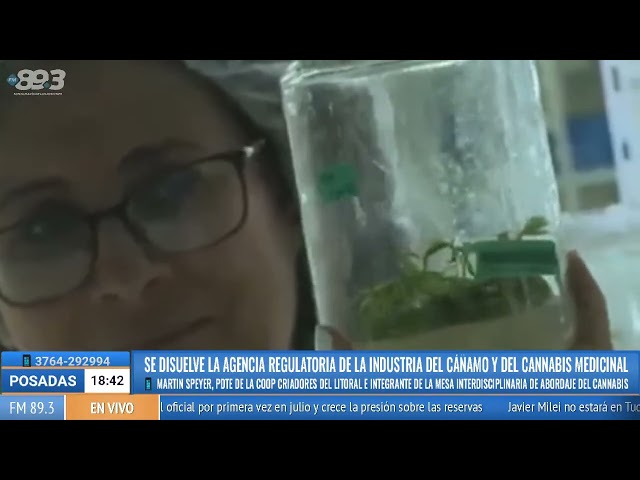 Martin Speyer, presidente de la cooperativa Criadores del Litoral e integrante de la Mesa Interdisciplinaria de abordaje del Cannabis