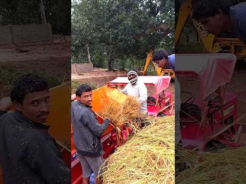 नेहा थारेसर राँची में कंचा से कंचा धान मिश देता है balee shankhlal आयाम #minivlog