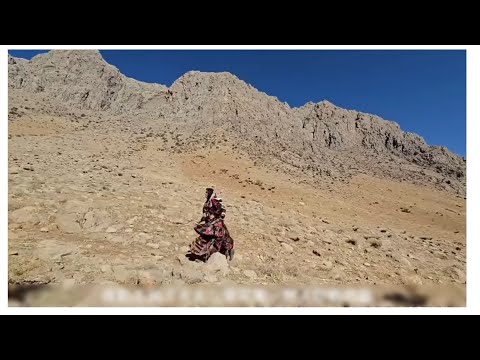 Kulesum lên nui để thu thập những tinh thể đường tự nhiên quý hiếm | Cuộc sống du mục