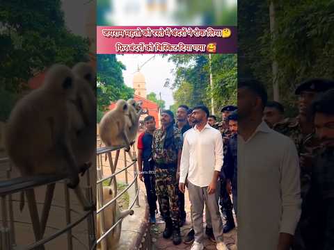 जयराम महतो को रास्ते में मिले बंदर😱||#tigerjairammahato #jharkhandnews #jlkm #shortsfeed 🥰