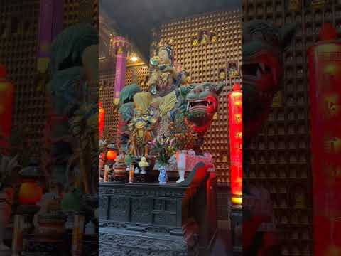 PHÁT TRIỂN TRÍ TUỆ