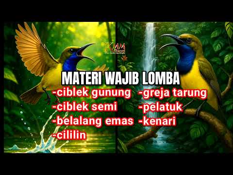 Dijamin cepat masuk & ngunci ‼️Masteran sogon full tembakan
