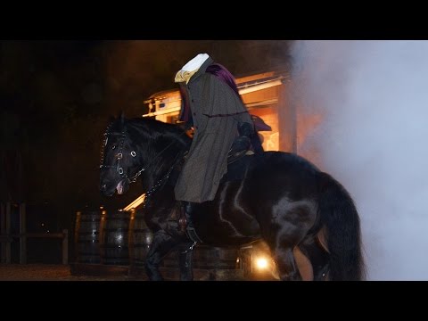 Headless Horseman Surprise at Disney's Fort Wilderness Resort Campfire w/ Pirate Chip & Vampire Dale - UCe-gHr2O_LP7t0YJYHZQZlg