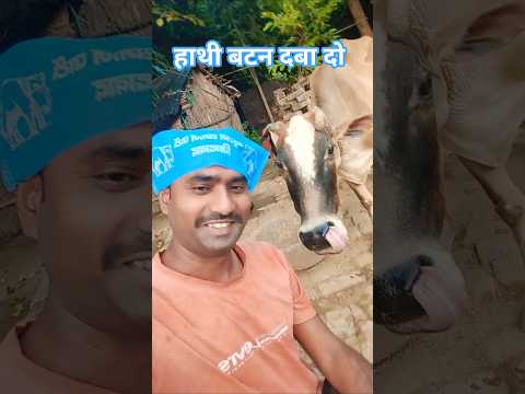 हाथी वाली बटनियां दाबे के 🦣 Haathi wali bartaniya ke Dabe Ke 🙏 #bahujansamajparty #bspmayawati #bsp