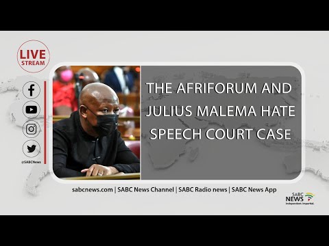 Julius Malema Court Case | Professor Elizabeth Gunner testifies in the Afriforum hate speech case