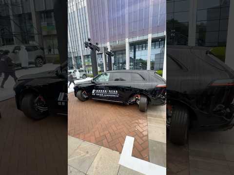 Yonmachasi yurvottiku!