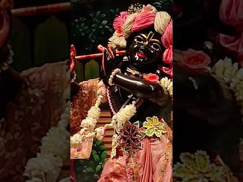 hare Krishna#🚩🕉️#facts #ISKCON Noida#YouTube#short status#🚩#