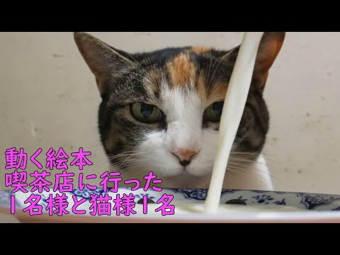 【實寫と生成AIの動く繪本】お人御一名、猫樣御一名御一行樣がレトロなお店に、、