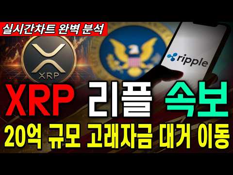 [<strong>엑스알피</strong> 리플 코인전망] 고래세력 제대로 작정했다!! 결국 '여기까지' 끌어올린답니다. #<strong>엑스알피</strong> 리플코인 #<strong>엑스알피</strong> 리플전망 #<strong>엑스알피</strong> 리플분석